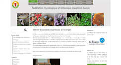 Desktop Screenshot of fmbds.org